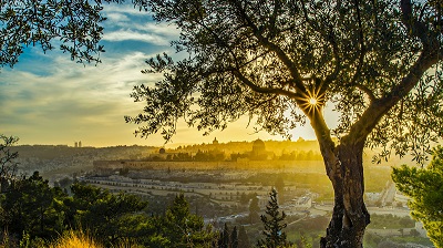 Israel i Jesu fotspr, 20-29 oktober